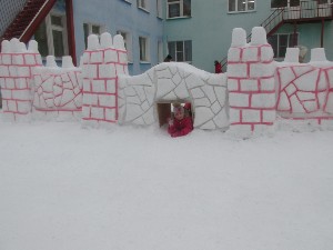 �����������